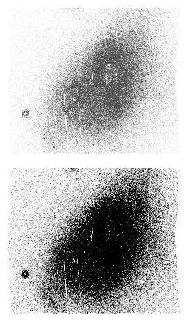 Zaritsky et al. 11 Fig. 3. The stellar density map using stars with 20 V 21. The two panels show the same map at different contrast levels.
