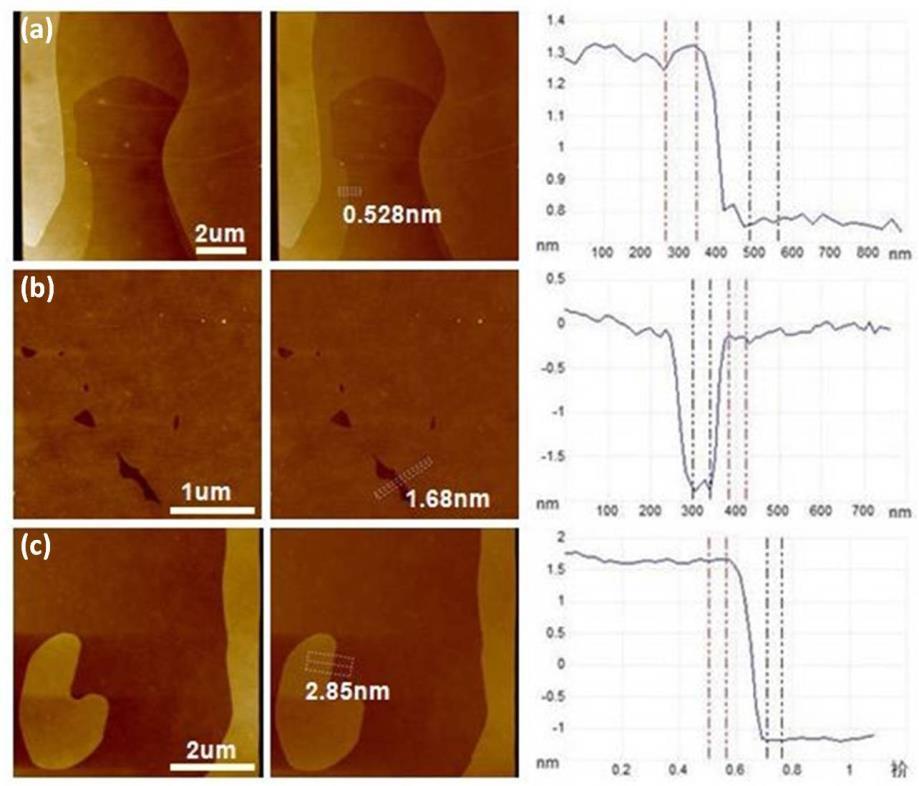 AFM images of C 8 -BTBT layers grown on BN, along with the thickness measurement of (a) IL, (b) 1L, (c) 2L.