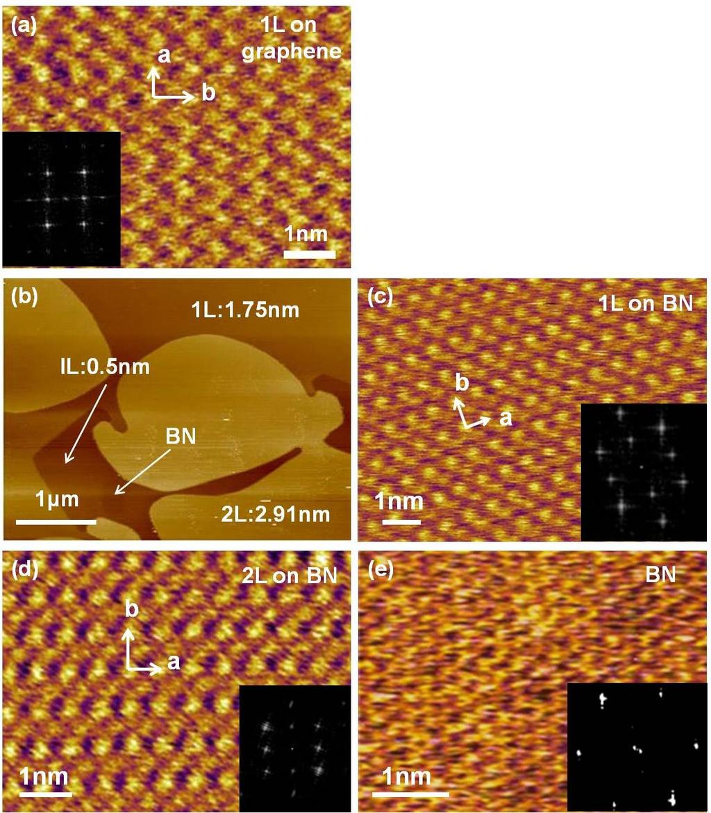 Supplementary Figure 24 High resolution AFM studied of C 8 -BTBT crystals. (a) High-resolution AFM image of 1L C 8 -BTBT on graphene. The unit cell is marked.