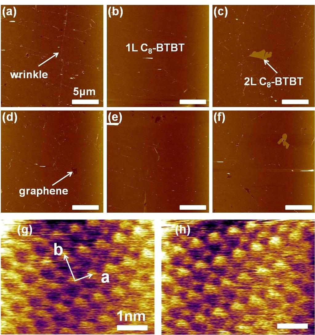 Supplementary Figure 27 AFM images of C 8 -BTBT grown on CVD graphene. (a)-(f) Large area AFM images of C 8 -BTBT grown on CVD graphene.