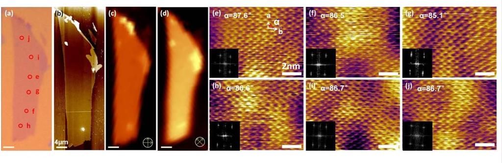 Supplementary Figure 11 Characterizations of 1L C 8 -BTBT grown on exfoliated graphene with size of ~50μm. (a) Optical microscopy and (b) AFM images of the sample.