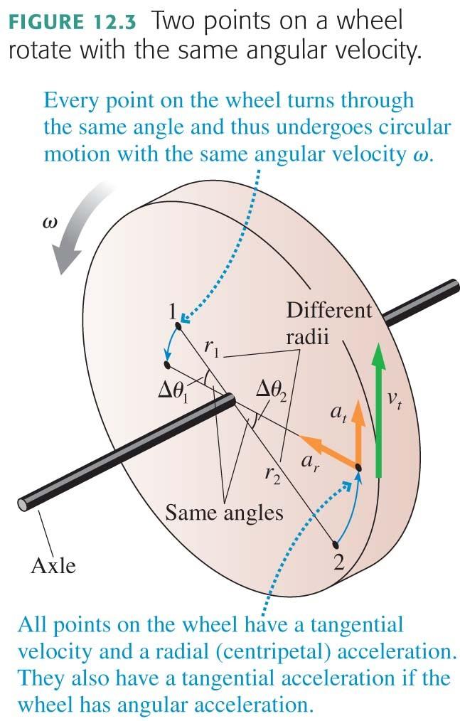 Rotational Motion The figure shows a wheel rotating on an axle.