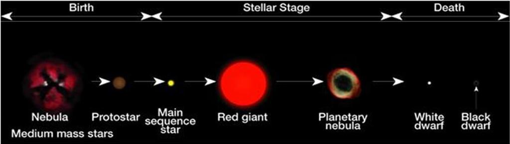 Lifecycle of Stars Intermediate mass stars expand into Red giants Eventually collapses in on