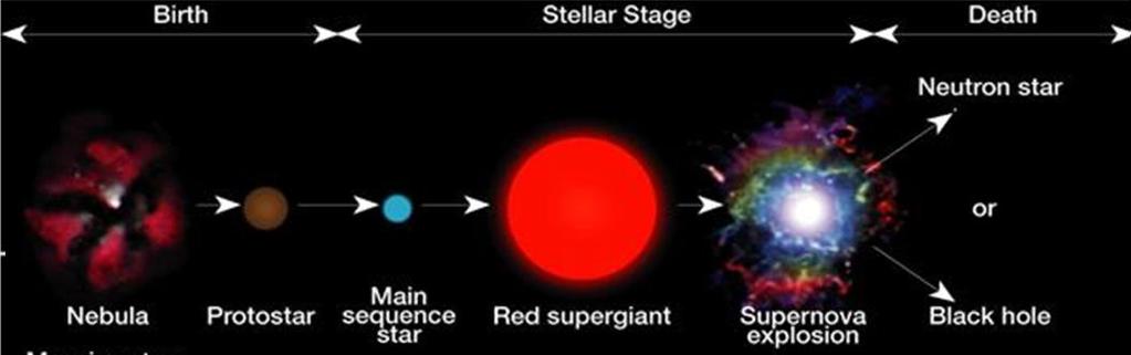 Lifecycle of Stars High mass stars expand into Red supergiants Eventually collapses in on