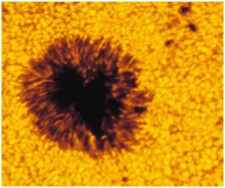 html Sunspots Magnetic field loops popping through photosphere Cooler than surroundings (4000 K) but still hot!