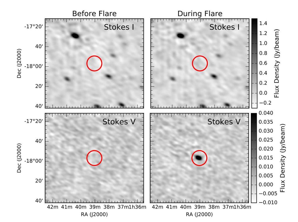 Radio emission from flare stars Lynch, Lenc et al.