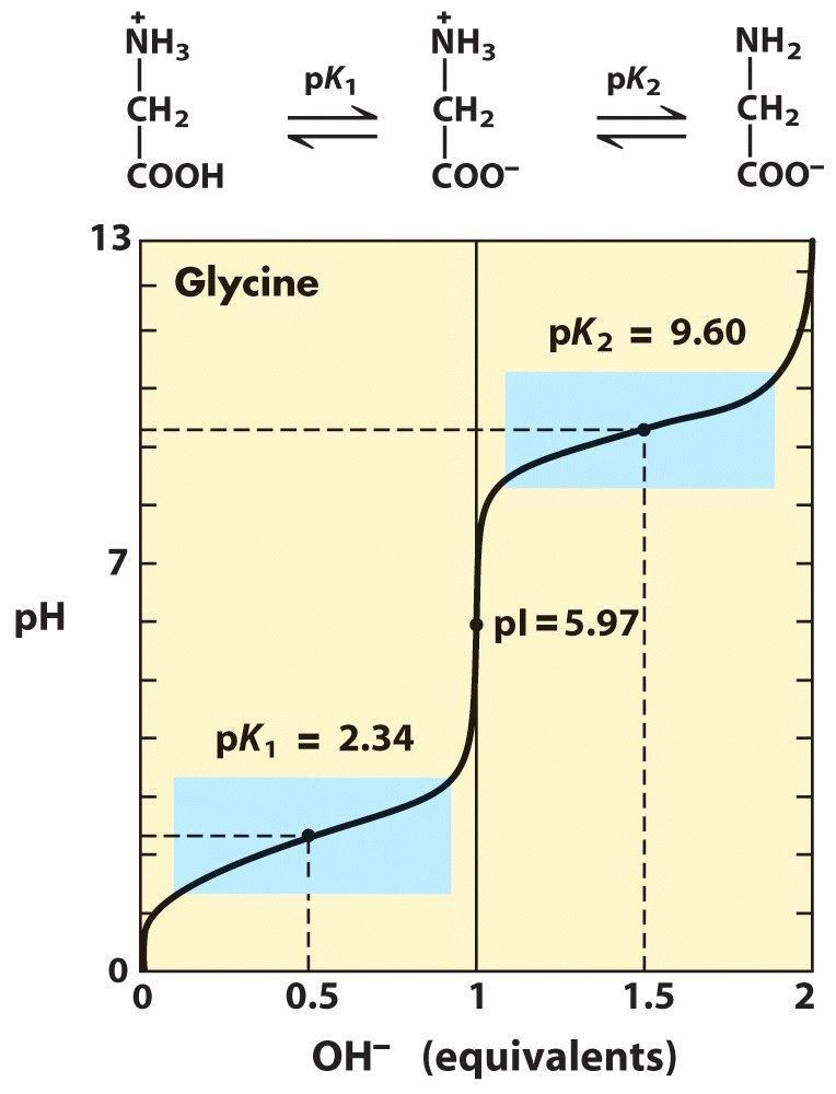 Titration curves of glycine Titration curve of glycine resembles acetic acid (pka=4.8) at stage 1but the carboxyl group of glycine is over 100 times more acidic.