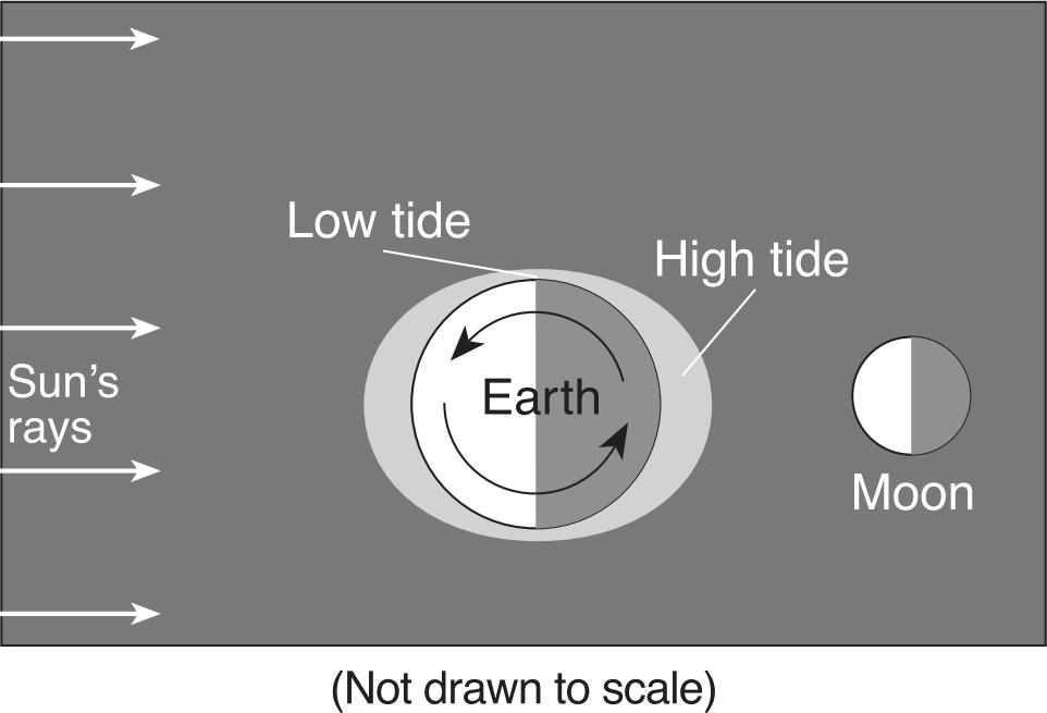 27. Base your answer(s) to the following question(s) on the diagram below, which shows the locations of high and low tides on Earth at a particular time. 30.