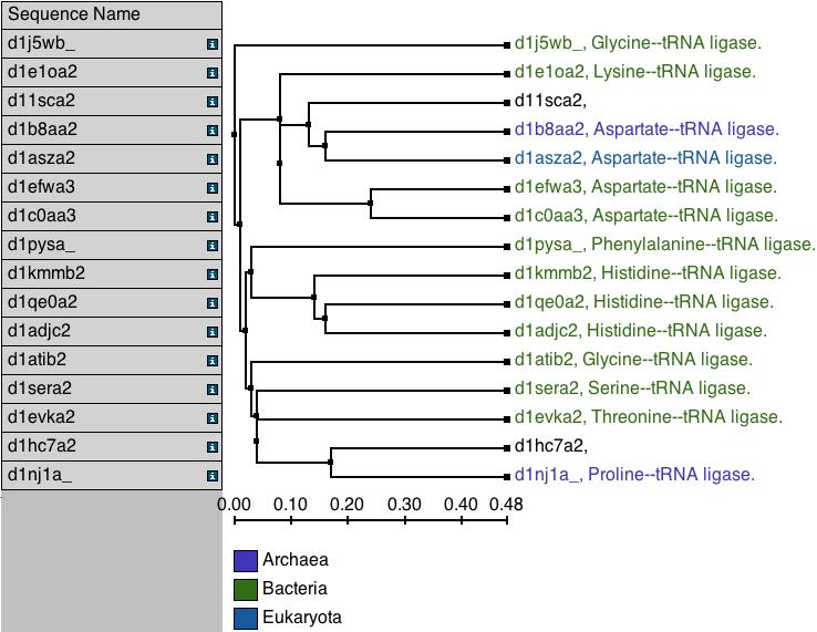 2 EVOLUTIONARY ANALYSIS OF AARS STRUCTURES 23 Figure 10: structures Percent identity sequence phylogenetic tree of 16 diverse AARS 2.4.