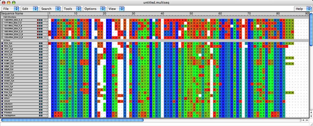 4 EVOLUTIONARY ANALYSIS OF TRNA 40 4. Color the alignment by sequence identity through View Coloring Sequence Identity. 5.