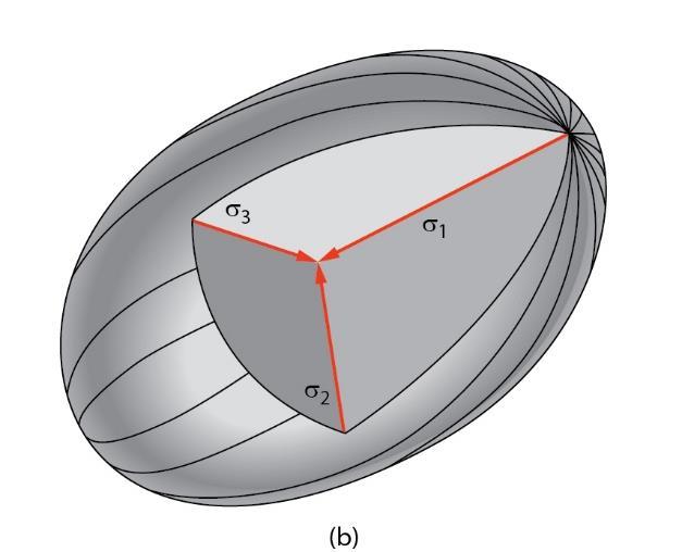 Infinitessimal Stress and Stress Ellipsoid Shrink cube to a point (a) two-dimensions: stress ellipse (b) three