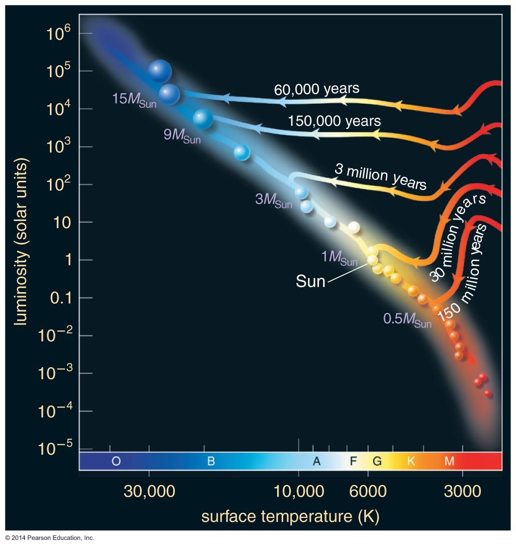 Life Tracks for Different Masses Models show that Sun required about 30 million years to go from protostar to main sequence. Higher-mass stars form faster.