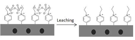 Leaching of dichromate from the magnetic polymers After crosslinking, the magnetic polymers were leached for many cycles as illustrated in Figure 5.