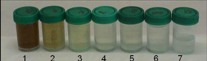 Chromium conc. (mg L -1 ) Iron conc.