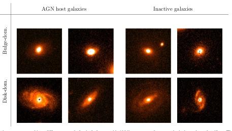 Triggering of moderate luminosity AGN Seyfert:" L bol < 5 "10 37 W ; M # 0.1M sun yr $1 Cisternas et al. (2010)" (see also Grogin et al.