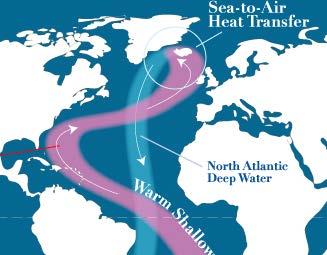 The Gulf stream flows faster. The North Atlantic warms.