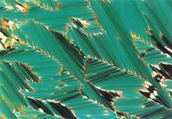 Liquid Crystals state of matter between liquid and solid ( not isotropic, but