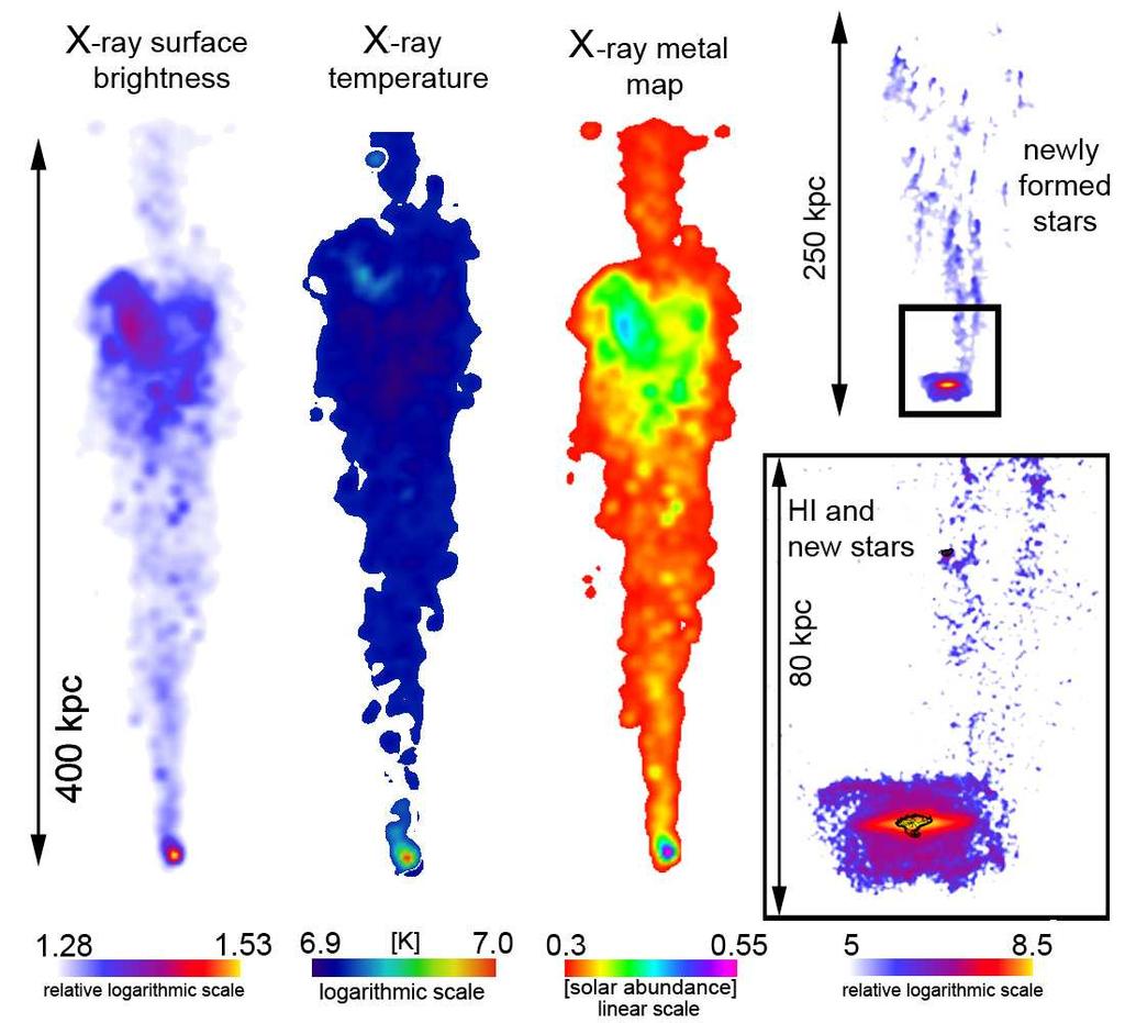 W. Kapferer et al.: How does ram pressure affect galaxies? 13 Fig. 23. Mock X-ray and HI observations for simulation 3, i.e. 1000 km/s relative velocity and a surrounding gas density of 1 10 27 g cm 3.