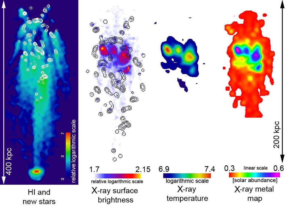 14 W. Kapferer et al.: How does ram pressure affect galaxies? Fig. 24. Mock X-ray and HI observations for simulation 4, i.e. 1000 km/s relative velocity and a surrounding gas density of 5 10 27 g cm 3.