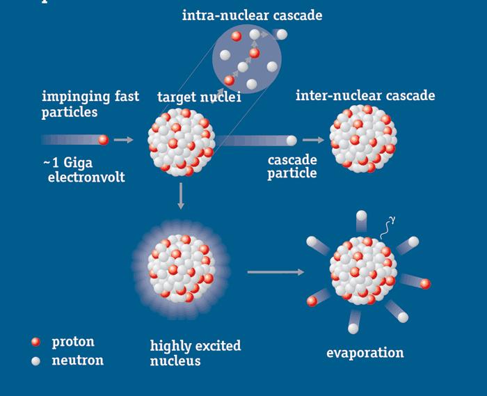 Spallation Products Nuclides formed by nuclear reactions Spallation, Fission, Neutron capture All elements of periodic table with Z Z target + 1 For LBE: Significant amounts of highly radiotoxic