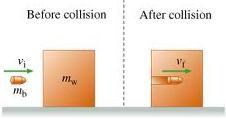 Inelastic Collisions A perfectly
