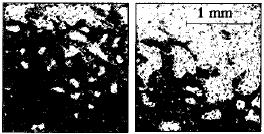 3.1. THERMALLY ACTIVATED WALL MOTION 13 Figure 3.3: Propagation of magnetic domain walls in a 7 ML Fe film on Cu(001) in 15 seconds from the left to the right, obtained by Kerr microscopy [11].