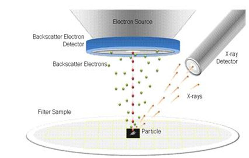 SEM - Backscattered electron detector BSE are primary electrons bounced by the sample that are not easily collected due to their high energy: their trajectory cannot be changed with