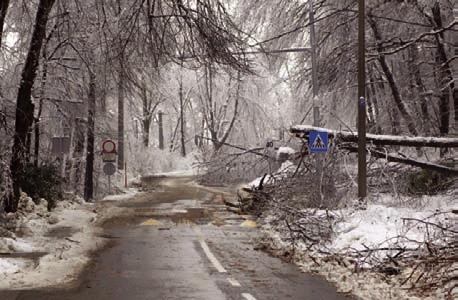 The damage was very great in the forests and forest roads, and also on power