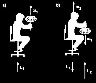 Example: A person sitting on a chair that can rotate is initially at rest and holding a bicycle wheel which is spinning with its angular momentum vector in the vertically up direction and with
