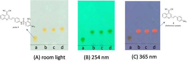 Figure S6. Thin layer chromatography (TLC) analysis of the reaction of probe 1 with 1 equiv of Sec in PBS buffer (1 mm, ph 7.4, with 5% DMSO, v/v) at 37 C. (A) Under room light.