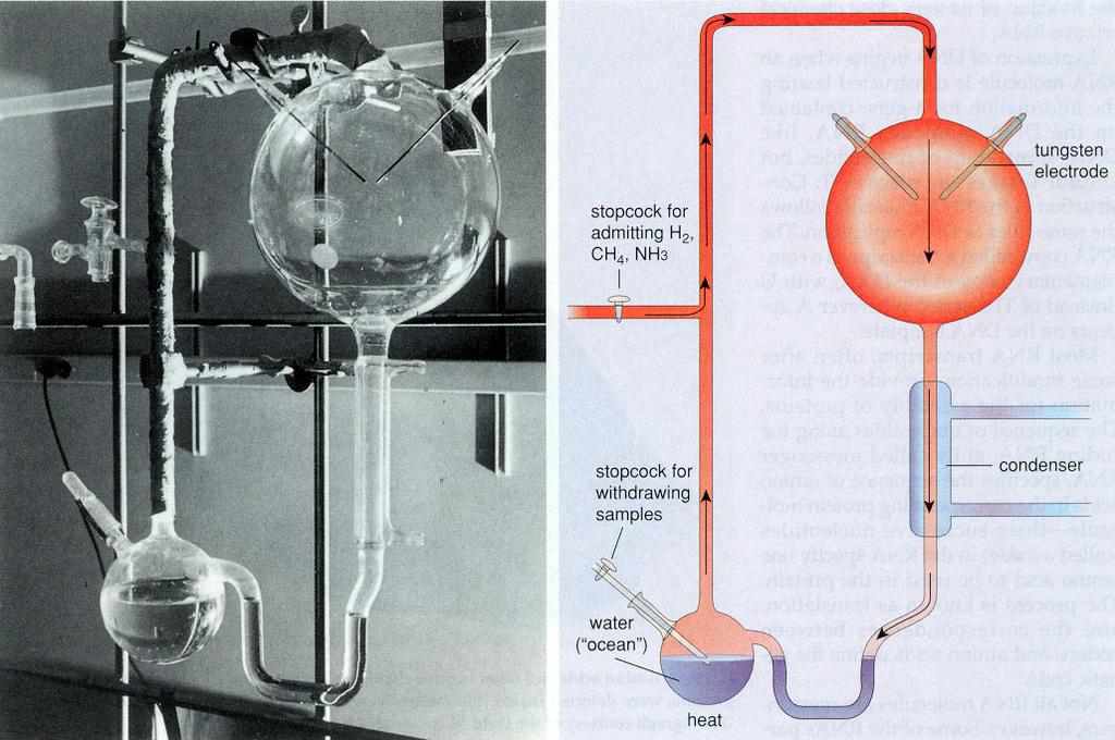 Miller s apparatus for creating amino acids