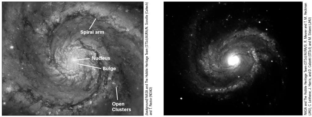 Milky Way: A Spiral Galaxy Our galaxy seems to be : it has spiral arms These are dense concentrations of and. Stars orbit the, pass through the spiral arms as they go.