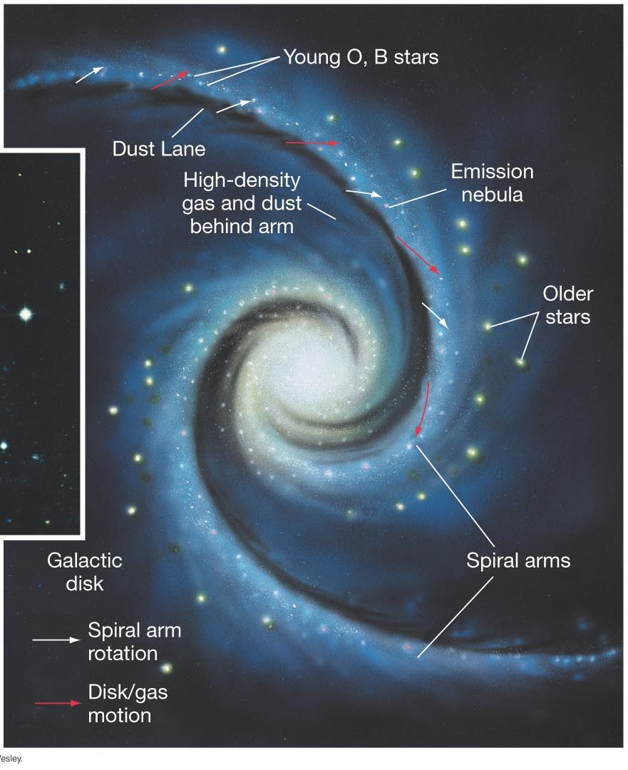 28 Spiral Arm Formation Between arms, star formation less recent, less bright.