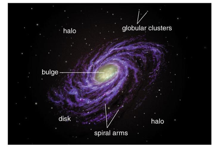 Our galaxy is a typical spiral galaxy Highly flattened disk (like a CD) Stars in this disk are in