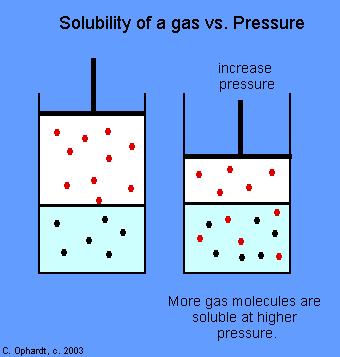 Gas pressure and solubility Gases
