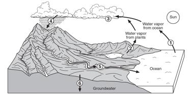 The Water Cycle 1. Label the processes from the diagram above... i. ii. iii. iv. v. vi. 2. Provide the necessary ground conditions for runoff. 3. What does the term saturated? 4.