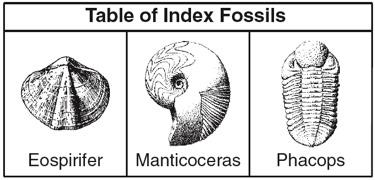 Index Fossils Identification Eospirifer Manticoceras Phacops Identification Letter Eon Era Period Epoch Important Geo Event Landscape Where They Lived 1.