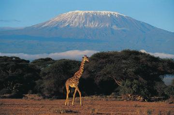 The Causes of Climate Activity 58 Africa s Mount Kilimanjaro (shown above), is very close to the equator and has a tropical climate at its base and glaciers at its peak.