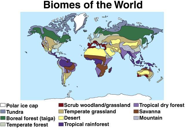 Biome terrestrial (land) community that