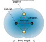 the region between the two atoms.