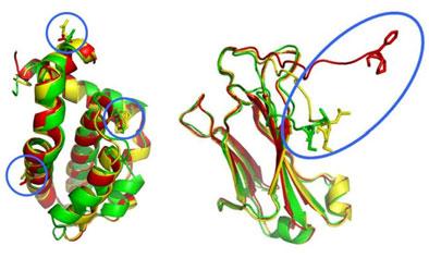 Chinese Universities, 2013, 29(5), 1011 1015 Mutation Induced Structural Variation in Membrane Proteins DUAN Xiao-zheng, LI Yun-qi, SHI Tong-fei *, HUANG Qing-rong and AN Li-jia Chem. Res.