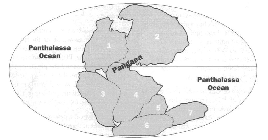 Figure 1. Reconstruction of the supercontinent of Pangaea as it may have appeared approximately 240 million years ago. Modern continents are numbered: 1) N.