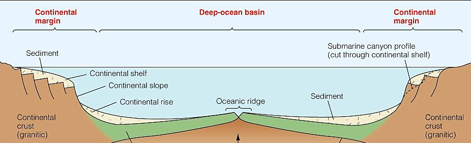 Anatomy of a continental margin Continental shelf the shallow, submerged edge of the continent.
