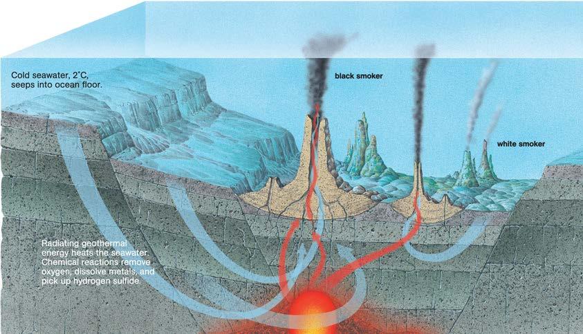 Cross-Section of the Central Part of a Mid-Ocean Ridge Heated water returns to surface carrying these elements upwards, discharging them at