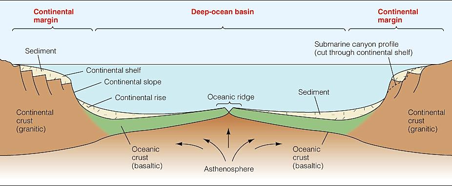 What are the two classifications of the ocean floor?