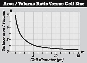 Standardized Test Prep Multiple Choice, continued The graph below shows the relationship between cell size and surface area to volume ratio.