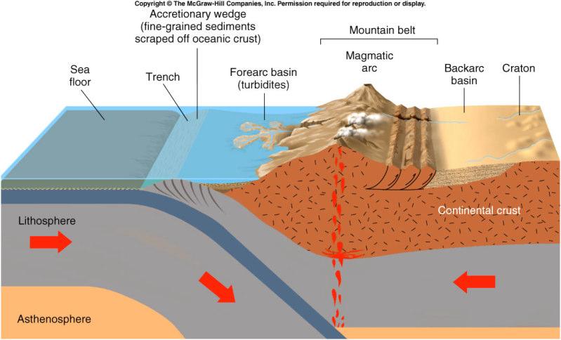 Plate Tectonics and Sedimentary Rocks Convergent boundary: Rapid erosion: coarse-grained clastic