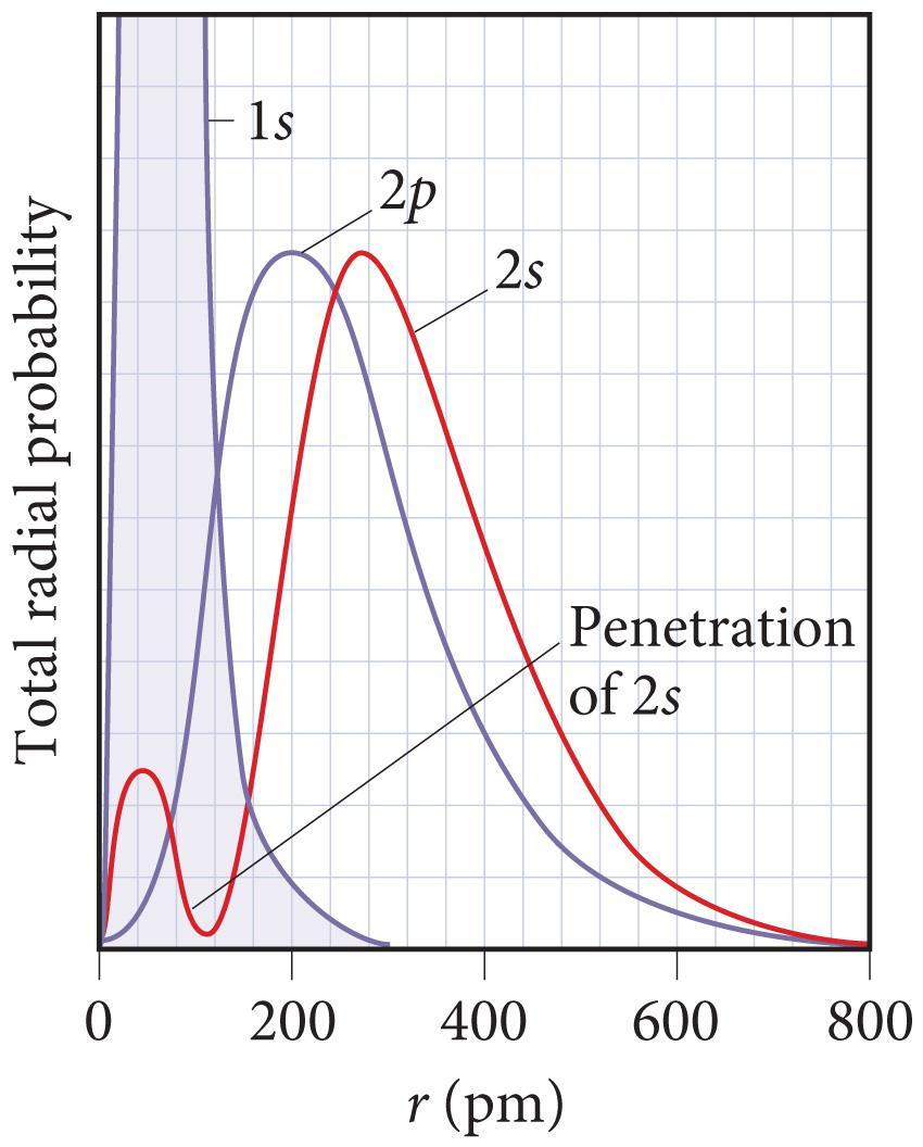 Penetration and Shielding The radial distribution function shows that the 2s orbital penetrates more deeply into the 1s orbital than does the 2p.
