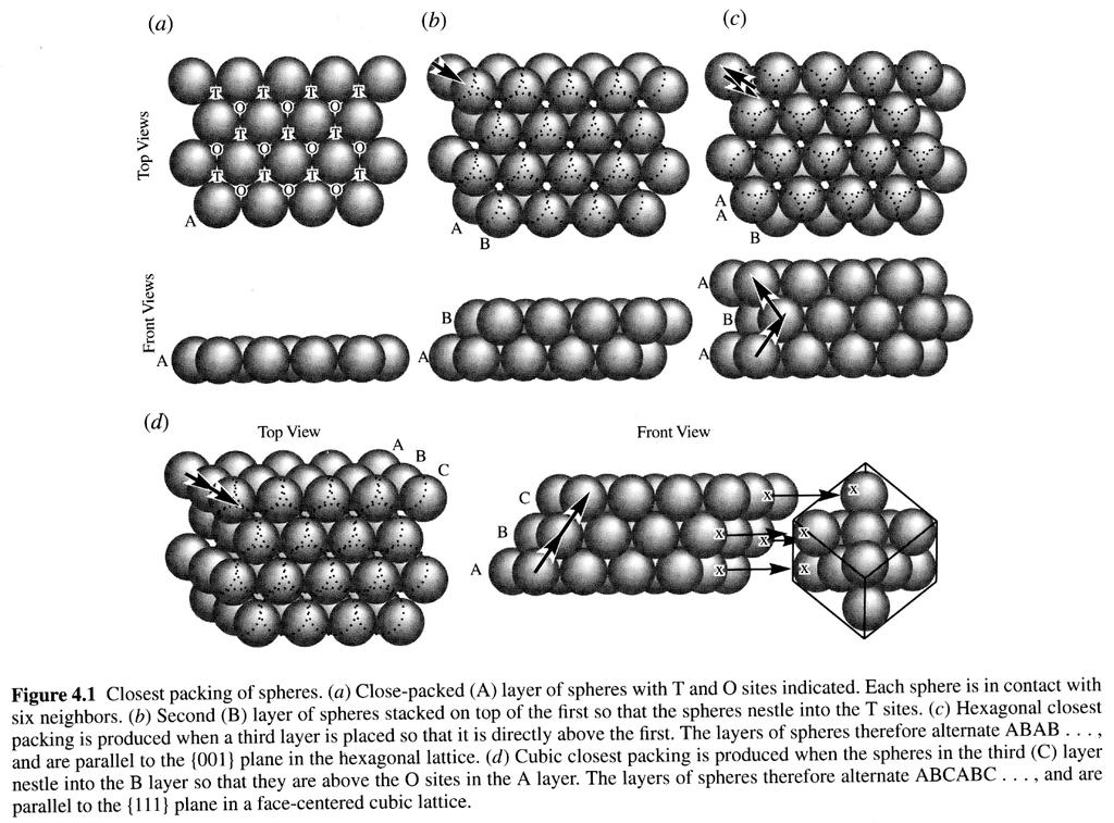 Metallic Bonding and Closest Packing T = tetrahedral sites (4-fold) and O = octahedral sites (6-fold) Metals tend to pack together closely due to free movement of valence electrons Two