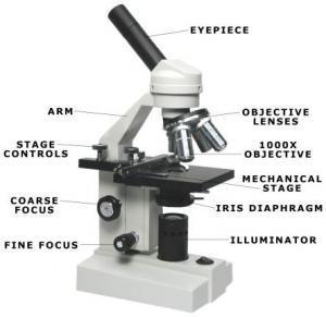 Function of the Compound Light Microscope 13.